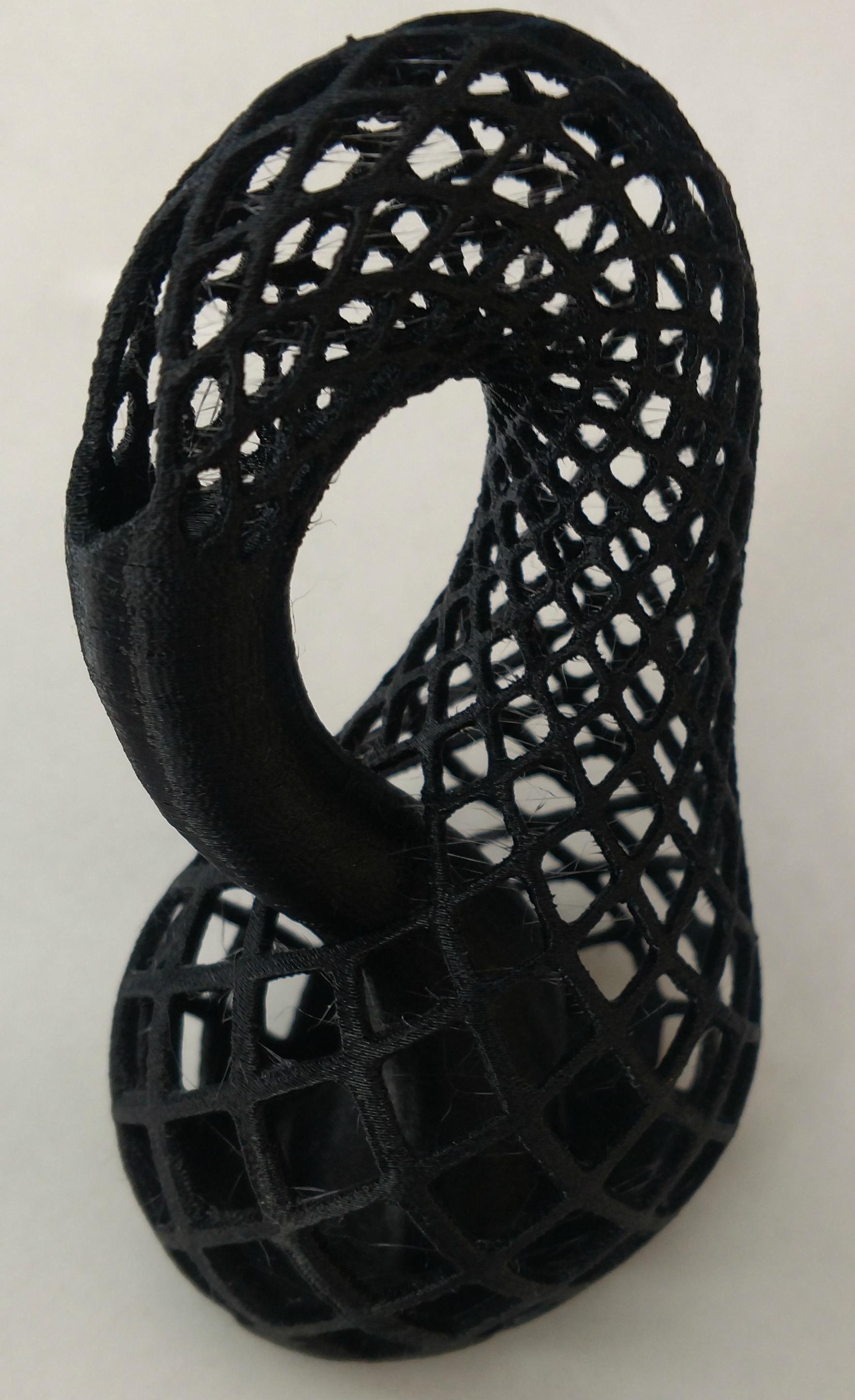 Klein Bottle Finished 1